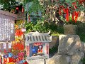 Chengdu (032)